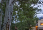 580 Spotted Horse Court photo 1