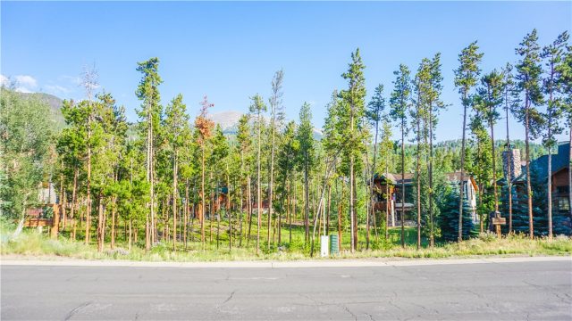 129 Windflower Lane, Frisco, CO — main photo
