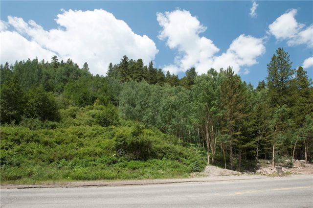 Land in Leap Year Sub, Breckenridge, CO — photo 1 (MLS S1006226)