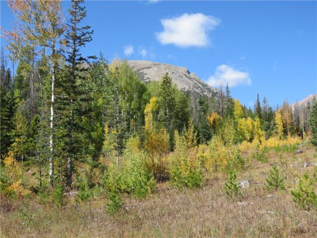 Land in Cortina Sub, Silverthorne, CO — photo 1 (MLS S1006345)