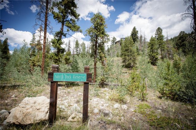Land in North Fork Sub, Keystone, CO — photo 1 (MLS S1006350)
