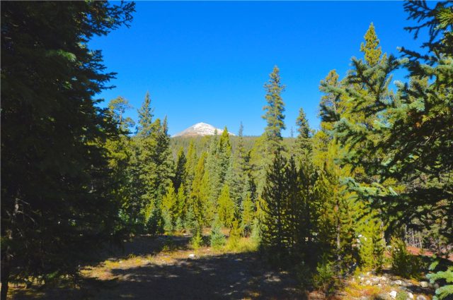 Land in Tordal Estates Sub, Breckenridge, CO — photo 1 (MLS S1006912)