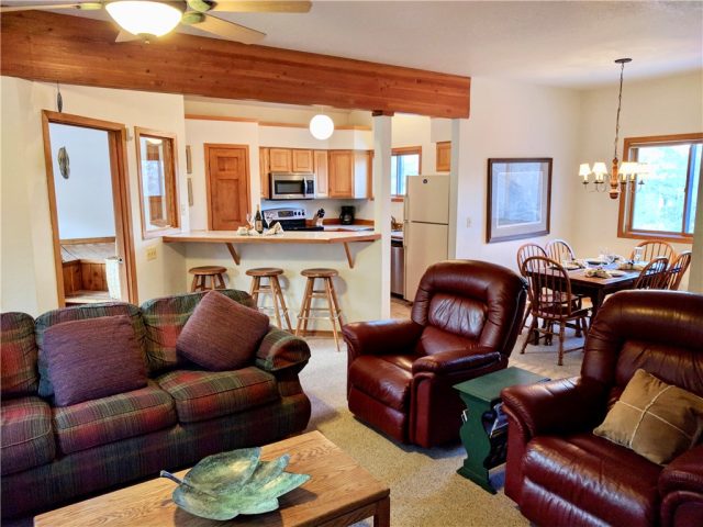 Townhome in Stonebridge @ Frisco Sub, Frisco, CO — photo 1 (MLS S1007170)