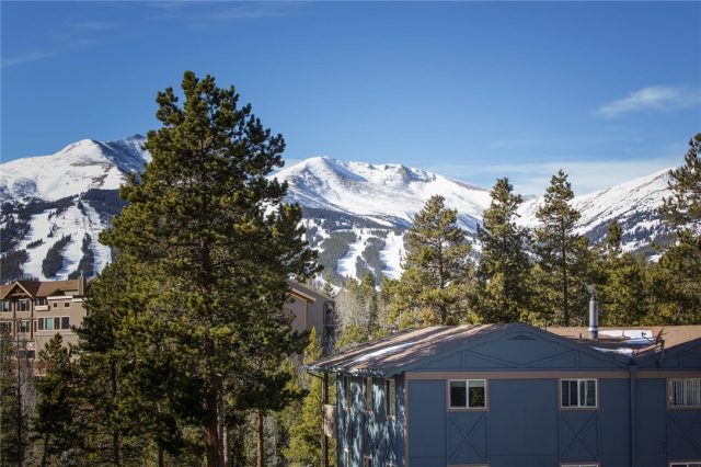 Condo in Tyrollean Terrace Condo, Breckenridge, CO — photo 1 (MLS S1007216)