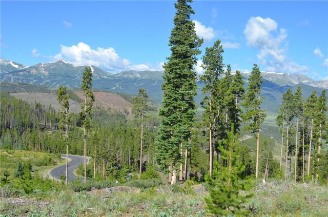 Land in Summit Estates, Breckenridge, CO — photo 1 (MLS S1007418)