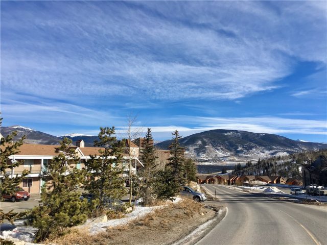 Condo in Wildernest Sub, Wildernest, CO — photo 1 (MLS S1007538)