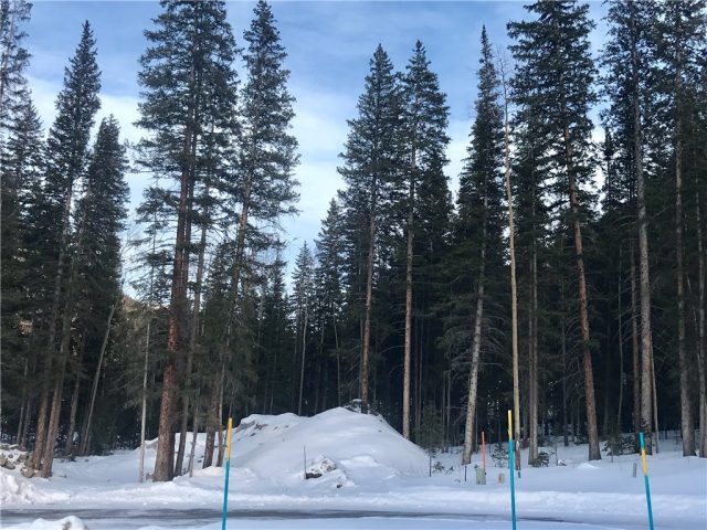 Land in Dercum Tracts Sub, Keystone, CO — photo 1 (MLS S1007779)
