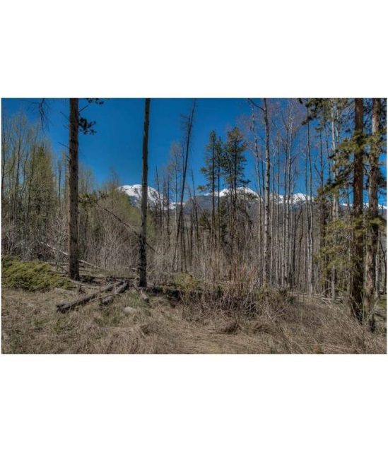 Land in Angler Mountain Ranch Sub, Silverthorne, CO — photo 1 (MLS S1007818)
