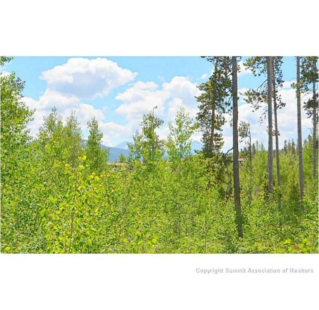 Land in Cortina Ridge, Silverthorne, CO — photo 1 (MLS S1007995)