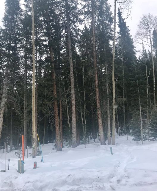 Land in Dercum Tracts Sub, Keystone, CO — photo 1 (MLS S1008107)