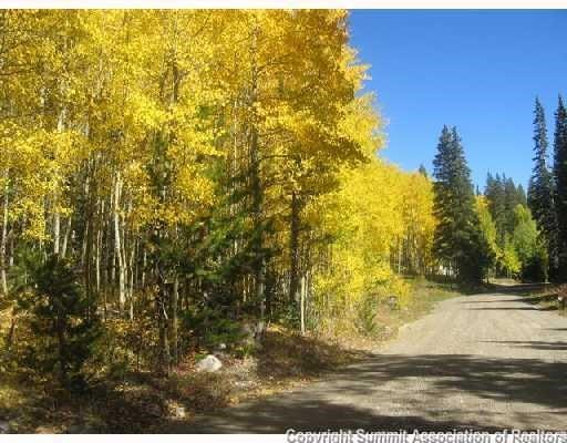 Land in 97 South Sub, Breckenridge, CO — photo 1 (MLS S1008130)