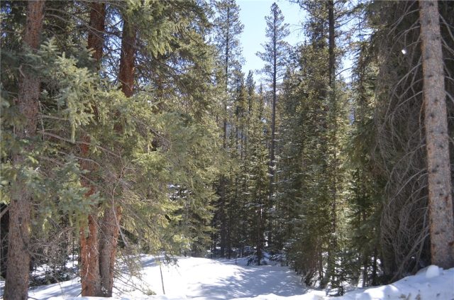 Land in 97 Sub, Breckenridge, CO — photo 1 (MLS S1008134)