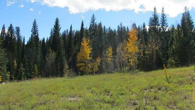 Land in Willow Creek Highlands, Silverthorne, CO — photo 1 (MLS S1008410)