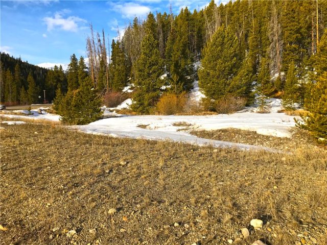 Land in Metes And Bounds - Breck, Breckenridge, CO — photo 1 (MLS S1008426)