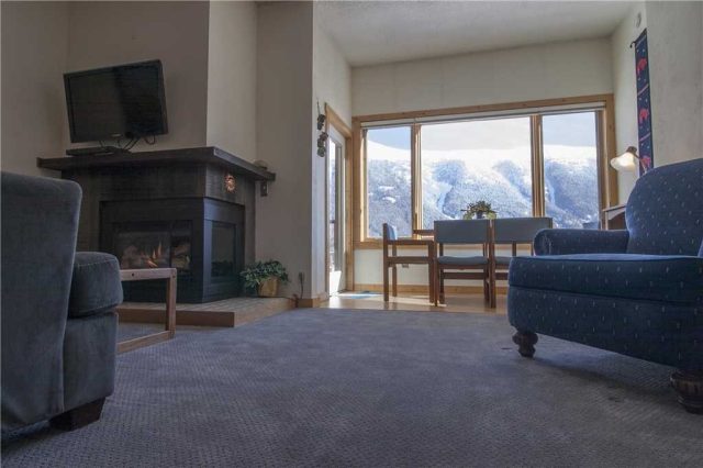 Condo in Summit House Condo, Copper Mountain, CO — photo 1 (MLS S1008630)