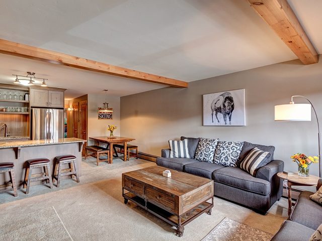 Condo in Trollhagen Condo, Breckenridge, CO — photo 1 (MLS S1008685)