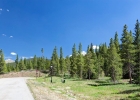 1238 Gold Run Road photo 1