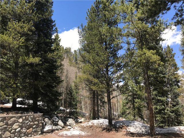 Land in Leap Year Sub, Breckenridge, CO — photo 1 (MLS S1008870)