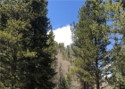 6393 State Hwy 9 photo 1
