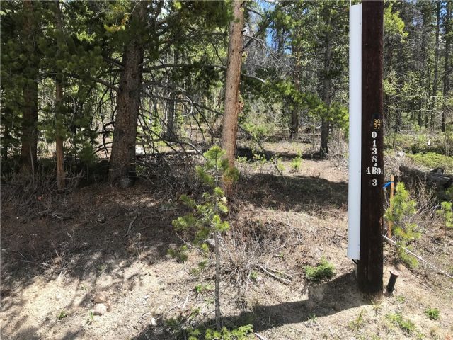 Land in Forest Hills Sub, Breckenridge, CO — photo 1 (MLS S1008892)