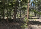 0139 Bearing Tree photo 1 0139 Bearing Tree photo 1