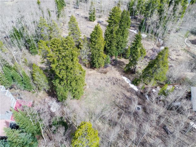 Land in Discovery Sub, Breckenridge, CO — photo 1 (MLS S1008938)