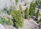 63 Twin Pines Court photo 1