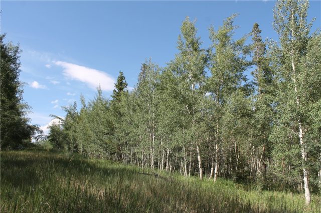 Land in Cortina Ridge, Silverthorne, CO — photo 1 (MLS S1009258)