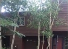 141 Alpine Drive C photo 1 141 Alpine Drive C photo 1