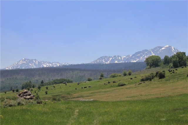 Farm in Rocky Nob Land Use Sub, Silverthorne, CO — photo 1 (MLS S1009604)