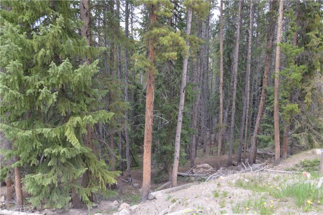 811 High Point Drive, Breckenridge, CO — main photo
