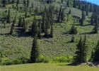 Tbd Tiger Road photo 1