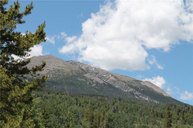 120 Windflower Lane, Frisco, CO — main photo