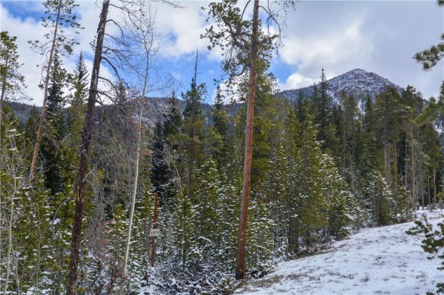 Land in Estates At The Alders, Keystone, CO — photo 1 (MLS S1009870)
