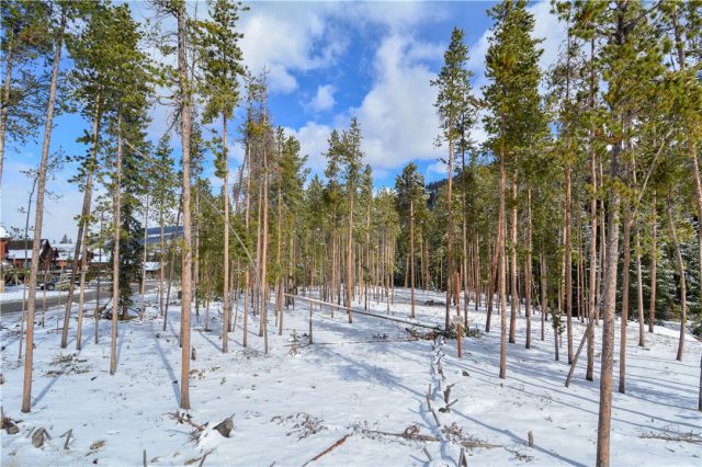 Land in Estates At The Alders, Keystone, CO — photo 1 (MLS S1009872)