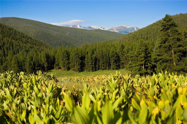 Land in Muggins Gulch, Breckenridge, CO — photo 1 (MLS S1009974)