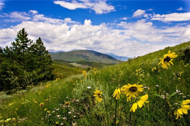 Land in Muggins Gulch, Breckenridge, CO — photo 1 (MLS S1009992)
