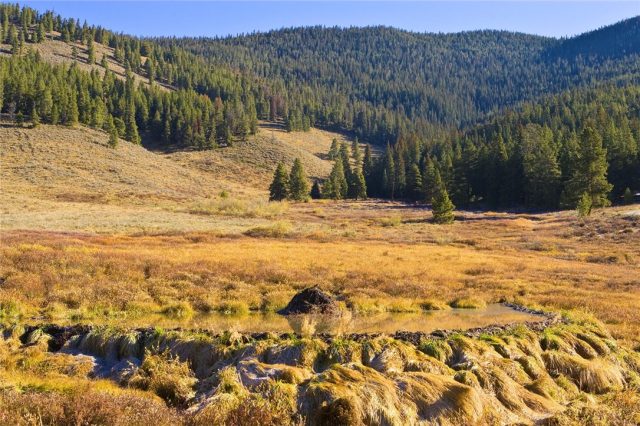 Land in Muggins Gulch, Breckenridge, CO — photo 1 (MLS S1010031)