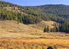 1050 Muggins Gulch Road photo 1 1050 Muggins Gulch Road photo 1