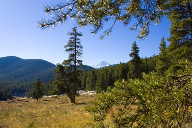 Land in Muggins Gulch, Breckenridge, CO — photo 1 (MLS S1010122)