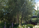 303 Kestrel Lane photo 1