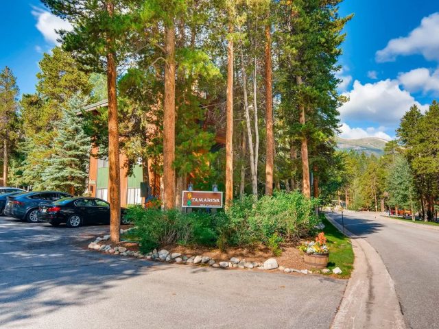 Condo in Tamarisk Condo, Breckenridge, CO — photo 1 (MLS S1010161)