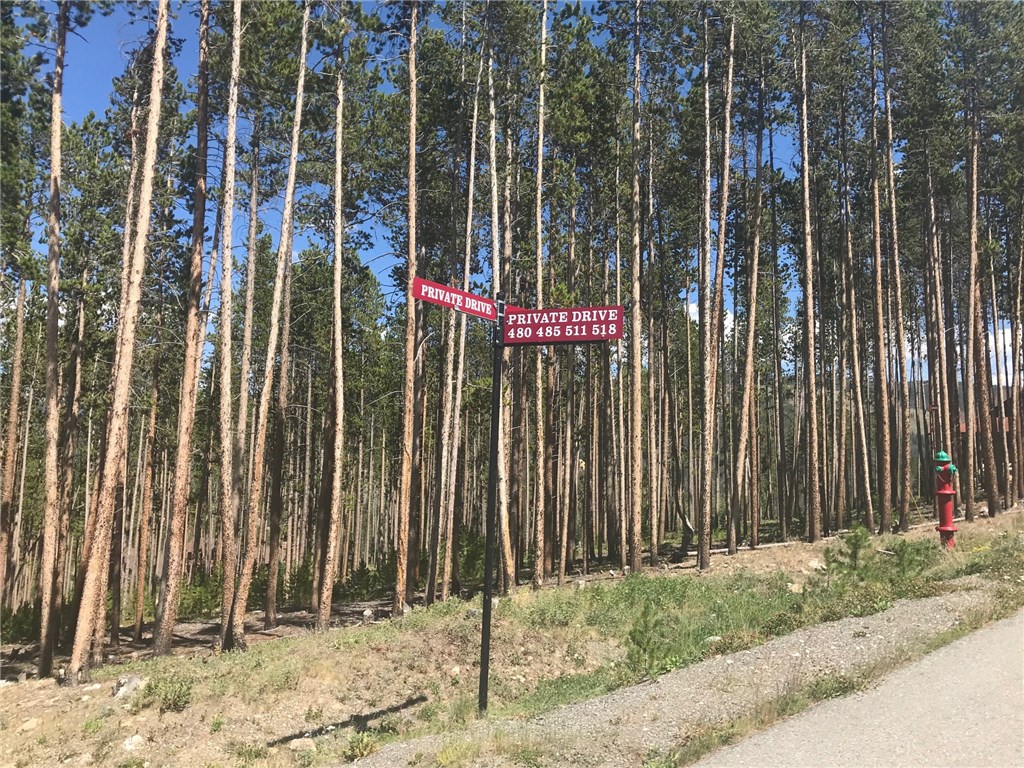 485 Golden Age Drive, Breckenridge, CO — main photo