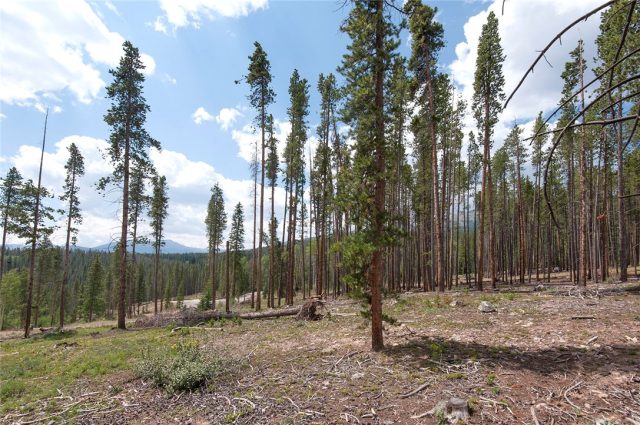 Land in Barton Creek Reserve, Breckenridge, CO — photo 1 (MLS S1010367)