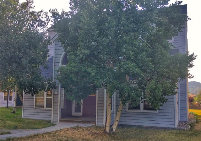 Condo in Meadow Cove Condo, Dillon, CO — photo 1 (MLS S1010651)