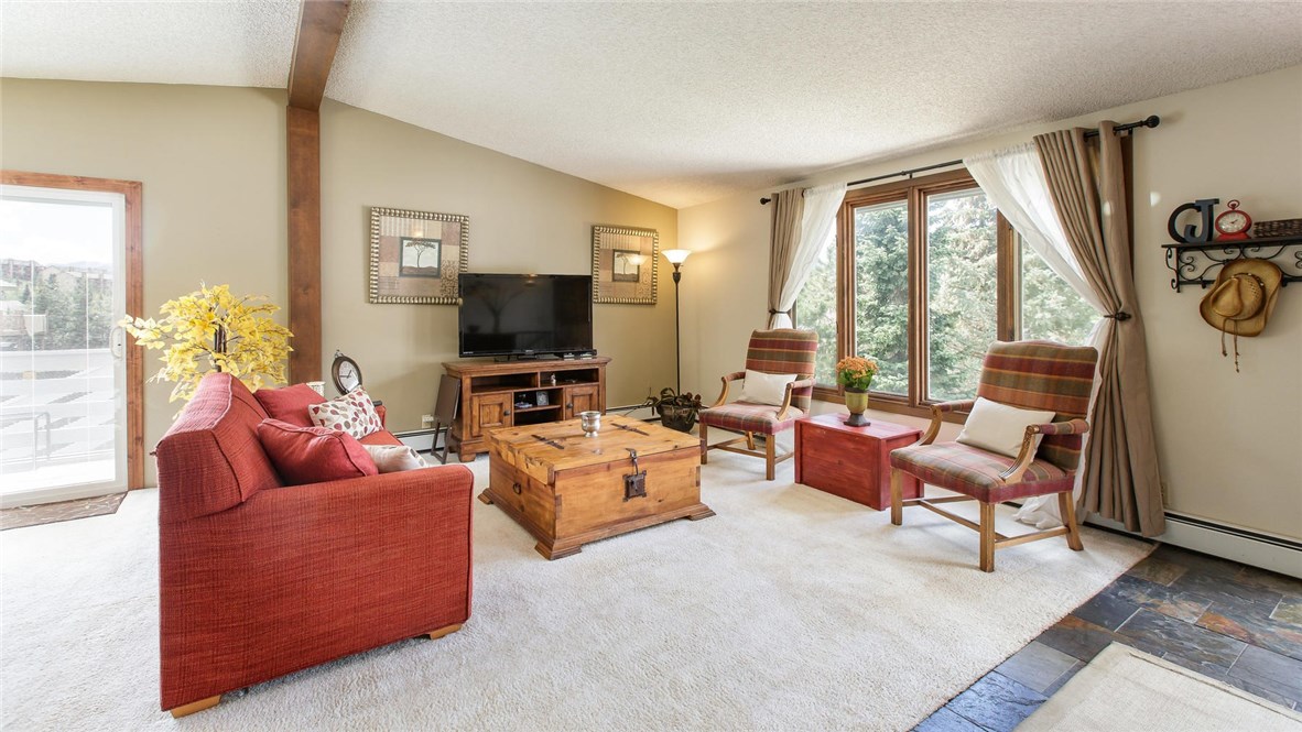 312 Alpine Road, Dillon, CO — main photo