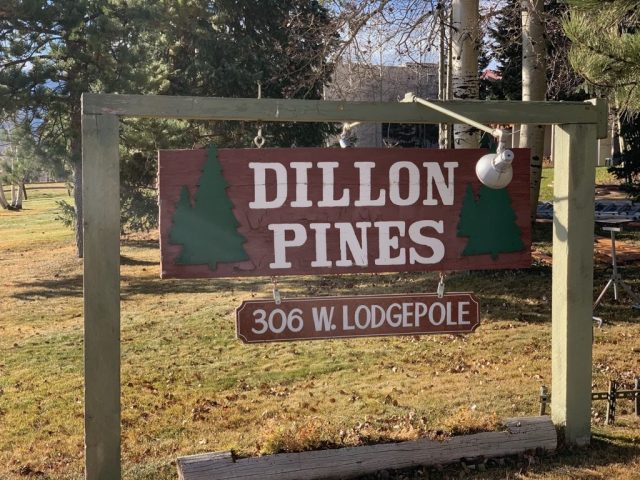 Townhome in Dillon Pines Townhomes, Dillon, CO — photo 1 (MLS S1011418)