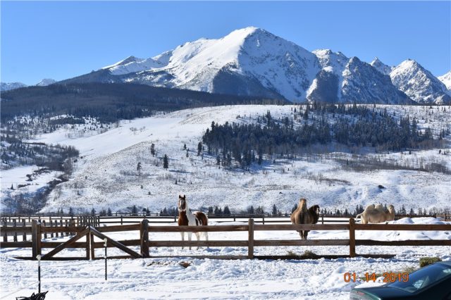 Farm in Ute Peak Ridge Sub, Silverthorne, CO — photo 1 (MLS S1011934)