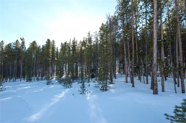 0057 Apex Circle, Breckenridge, CO — main photo