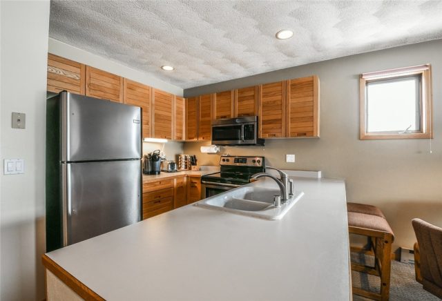 460 Tenderfoot Street 100, Dillon, CO — main photo